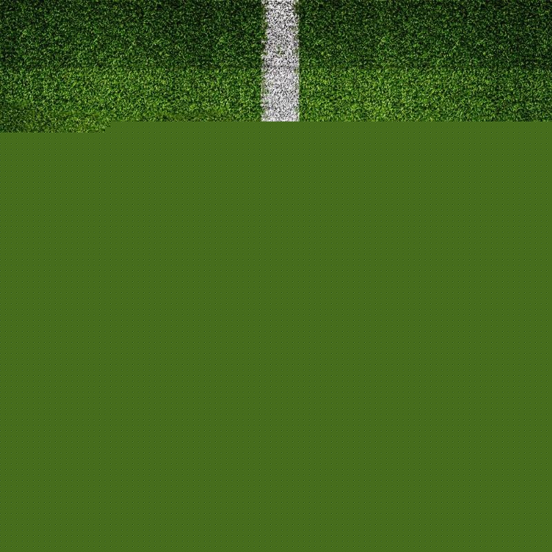 补阵容若能 补阵容若能